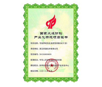 National Torch Program Certificate